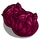 Red Cabbage-icon