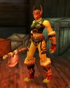 Veteran Irondeep Raider