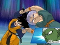 Budokai 2 171