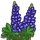 Lupine-icon