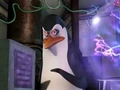 Kowalski000.jpg