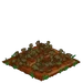 Zucchini withered