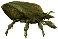 Bark Mite.png