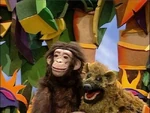 JHASchimp&hyena