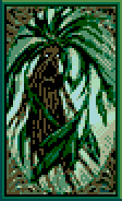 Mandragora card