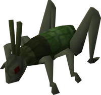 Locust