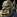 IconSmall Dragonmaw Male