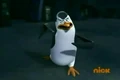 Kowalski-B01.jpg