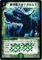 Dm-p41-y5