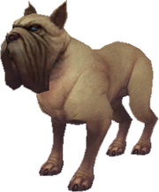 Mastiff