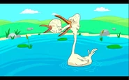 Eatswans