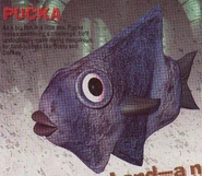Pucka