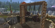 Drakes in Bloodgulch
