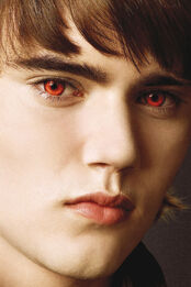 4x6-alec-volturi
