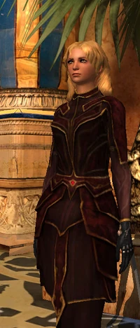Lederharnisch.jpg