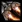 SC2NitroPacks.jpg