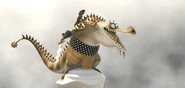 Croco 01