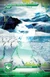 Card155
