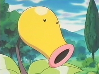 http://images3.wikia.nocookie.net/__cb20100824111335/es.pokemon/images/c/c5/EP172_Bellsprout_del_anciano_(3).png