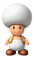 WhiteToadFront