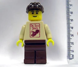 DTDfig
