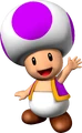 Purple Toad NSMBVR