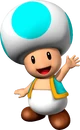 Cyan Toad NSMBVR