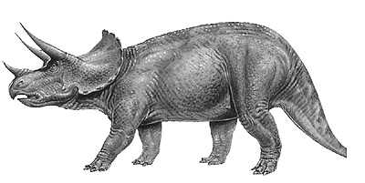 triceratops meat eater