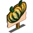 Carnival Squash