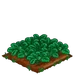 Spinach 100