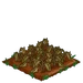 Spinach withered