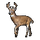 Item whitetaileddeer 01