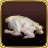 Poultry