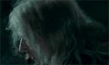 Ollivander.gif