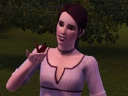 Cleo redadmiral butterfly collecting