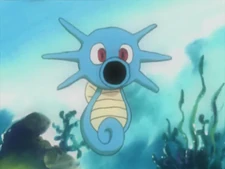 FileMisty Horsea