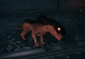 Varren Alpha.png