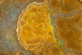 Westfall.JPG