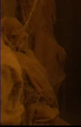 T'Karath Sanctuary mummy 6