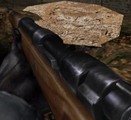 Kar98k aa