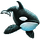 Item killerwhale 01