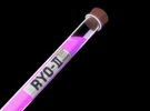 Ryo2-virus
