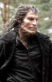 Greybackdhprofileimg.jpg