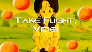 Episode 207