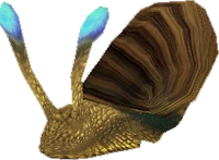 Snail