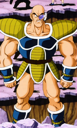 Nappa 2.png