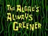 The Algae's Always Greener.jpg