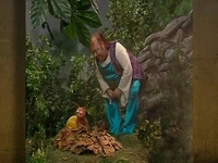 Folge2551-2