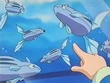 EP217 Remoraid (3)