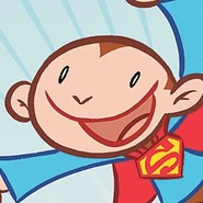 S-shield beppo